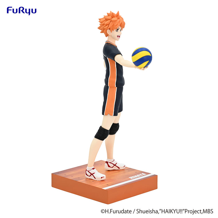 Haikyu Shoyo Hinata Figure