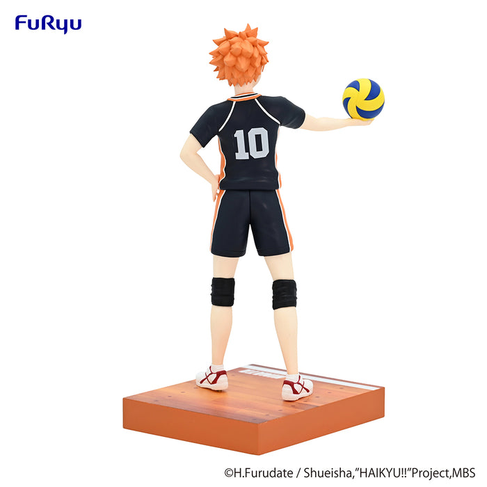 Haikyu Shoyo Hinata Figure