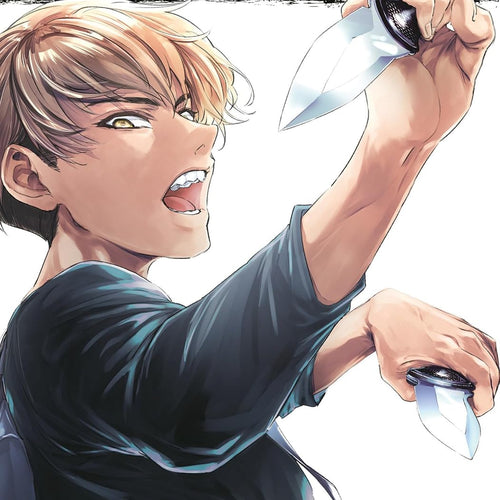Succubus and Hitman VOL 3 | Anime Manga | Neko Alley Anime