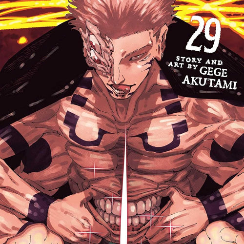 Jujutsu Kaisen VOL 29