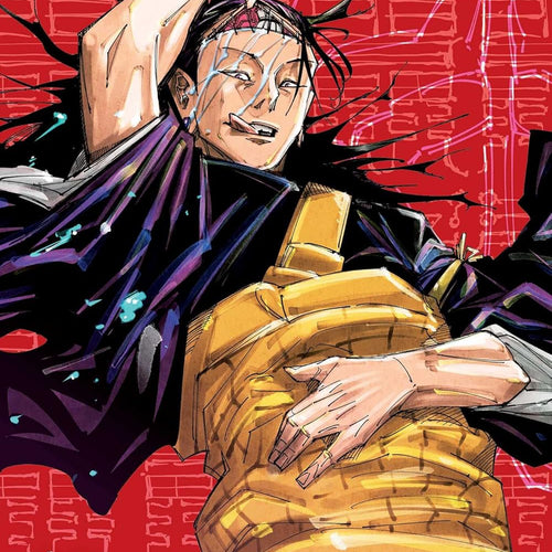 Jujutsu Kaisen VOL 16 | Anime Manga | Neko Alley Anime