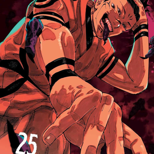 Jujutsu Kaisen VOL 25 | Anime Manga | Neko Alley Anime