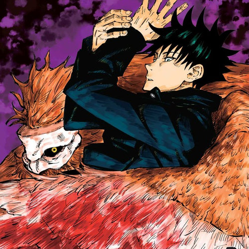 Jujutsu Kaisen VOL 02 | Anime Manga | Neko Alley Anime