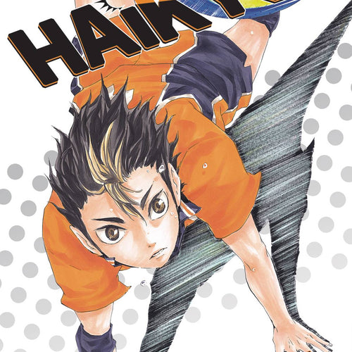 Haikyuu VOL 3 | Anime Manga | Neko Alley Anime
