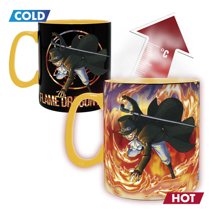 One Piece Cross Bones Heat Change Mug & Coaster Gift Set