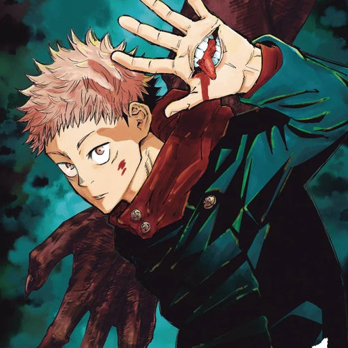Jujutsu Kaisen VOL 01 | Anime Manga | Neko Alley Anime